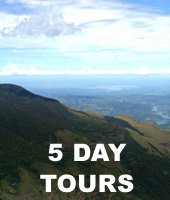 5 days tour